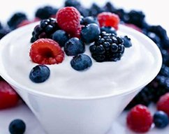 wholesale-natural-yoghurt 